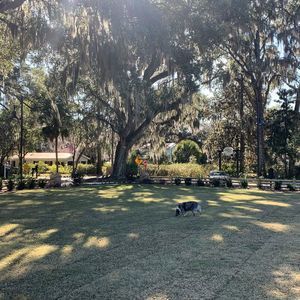 Meet your Posher, Lynn